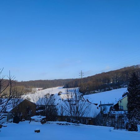Modernes Rhombushaus Im Naturparadies Sauerland 발베 외부 사진