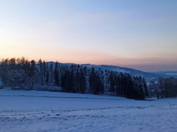 Modernes Rhombushaus Im Naturparadies Sauerland 발베 외부 사진