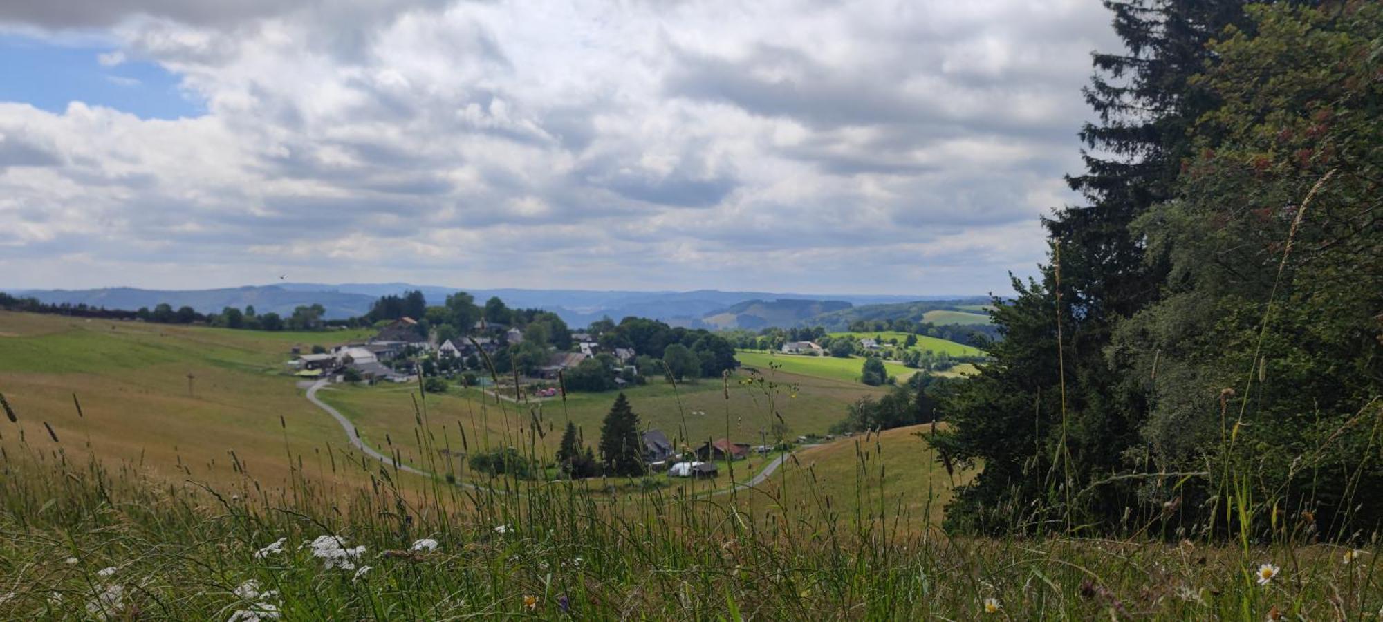 Modernes Rhombushaus Im Naturparadies Sauerland 발베 외부 사진